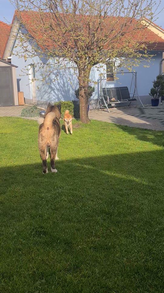TikTok video thumbnail by marie1975germ