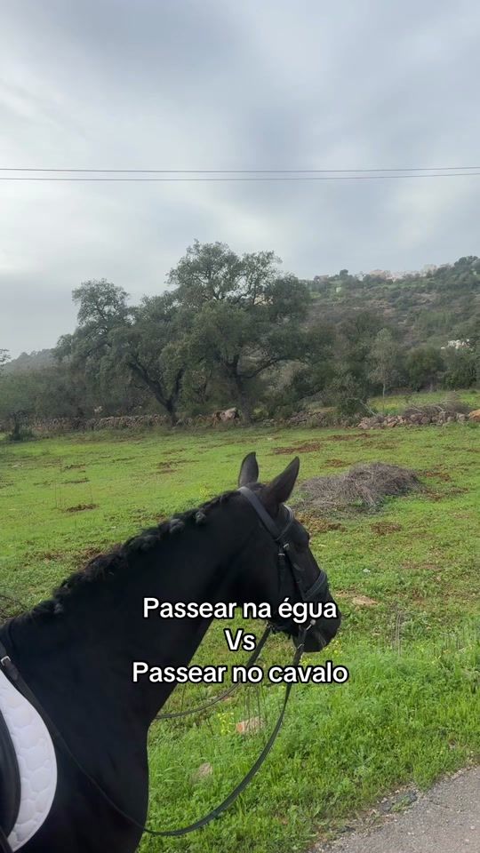 TikTok video thumbnail by safiramarques