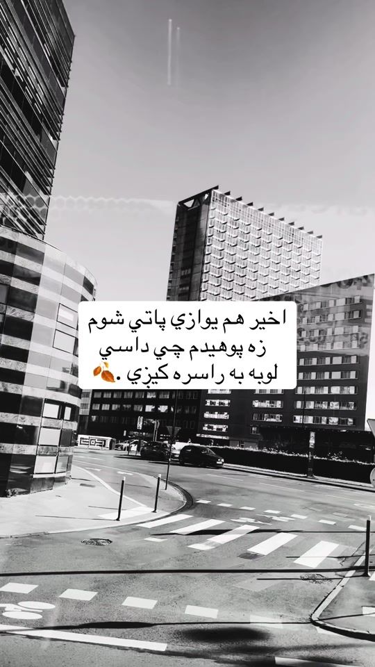 TikTok video thumbnail by wadan_51