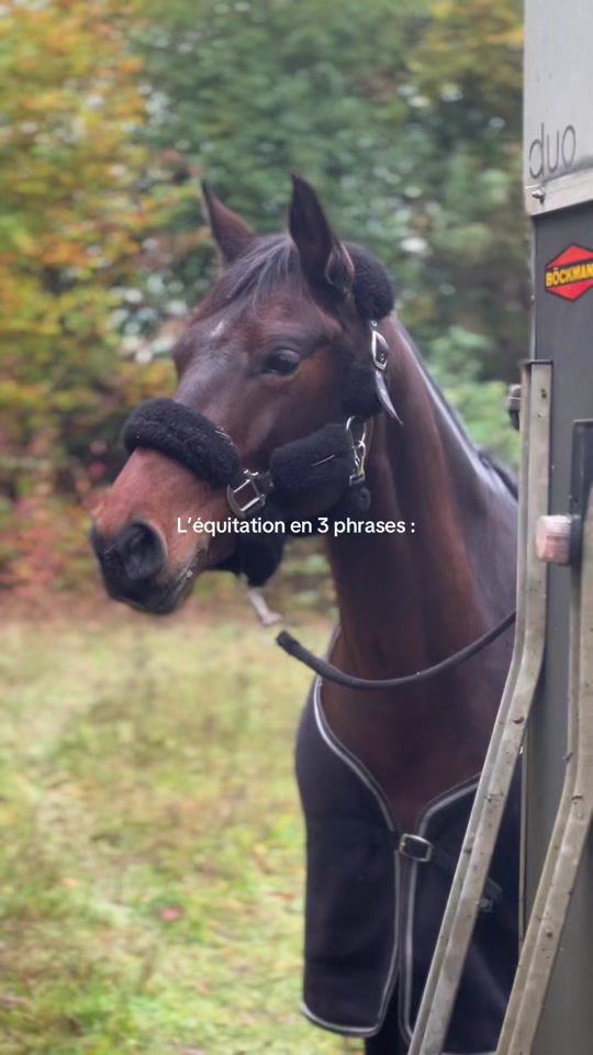 TikTok video thumbnail by lemiereh