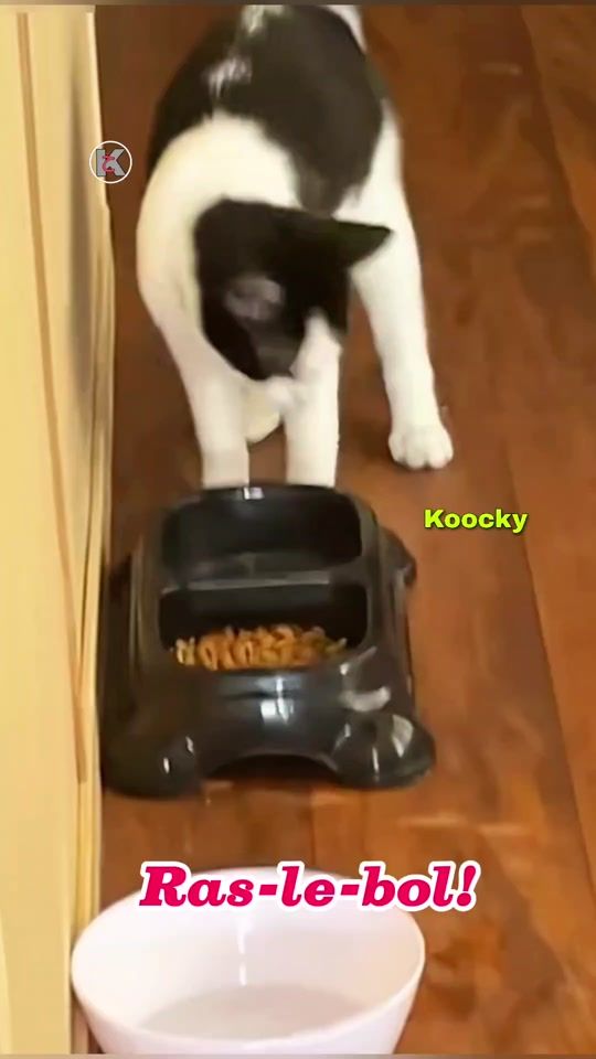 TikTok video thumbnail by koockykha