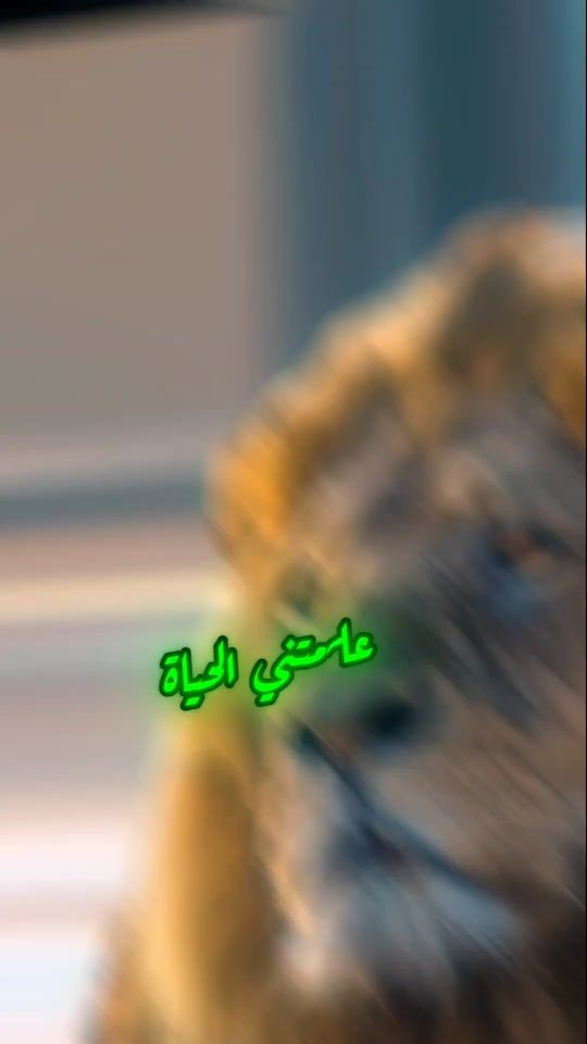 TikTok video thumbnail by mourad.595
