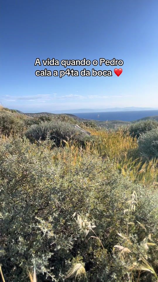 TikTok video thumbnail by perfectzcatzz