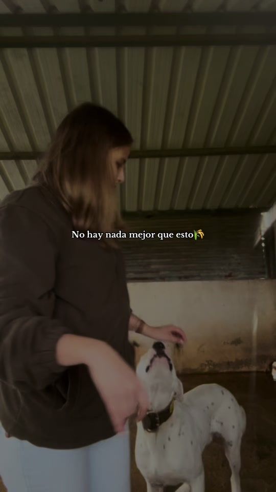 TikTok video thumbnail by ineslopesp_28