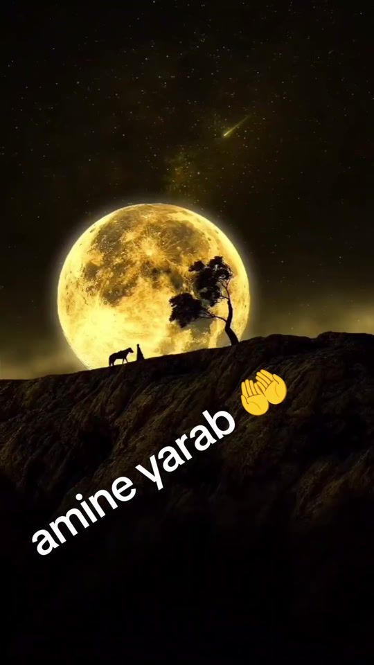 TikTok video thumbnail by usenala13