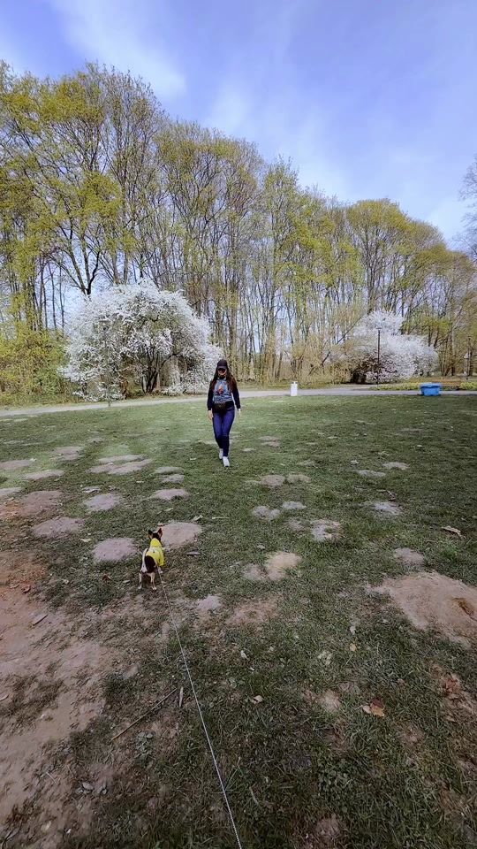TikTok video thumbnail by glos_serca