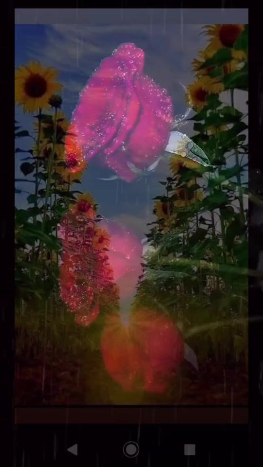 TikTok video thumbnail by silvaana188