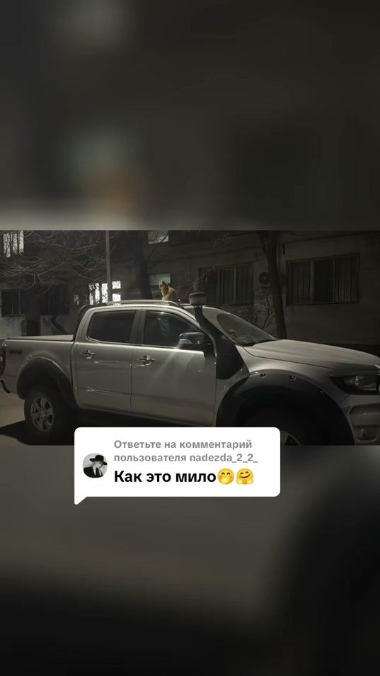 TikTok video thumbnail by tamara22_09