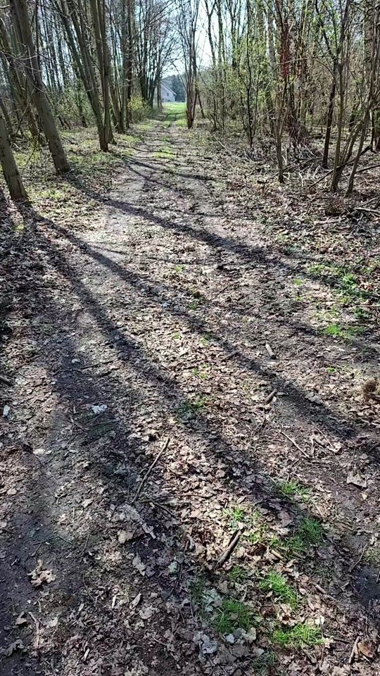 TikTok video thumbnail by brajomtb