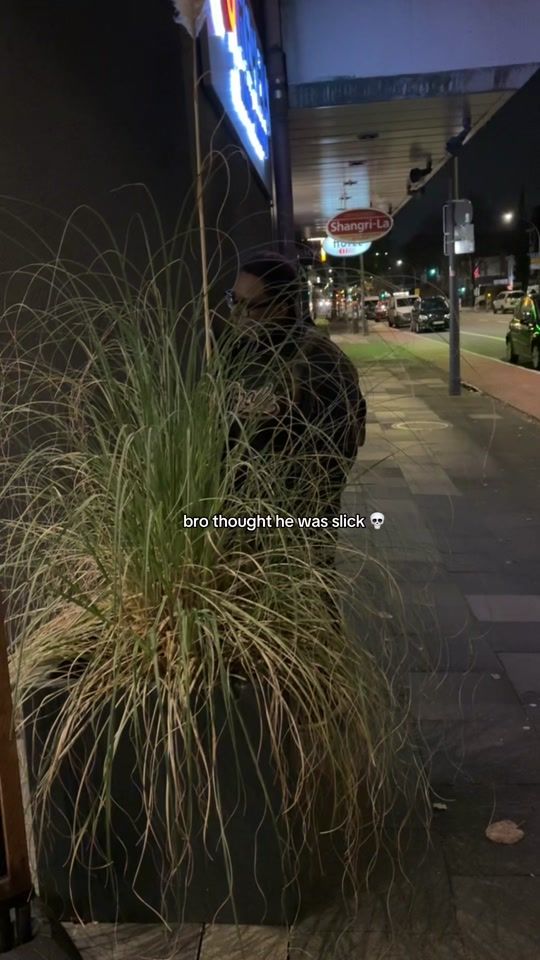 TikTok video thumbnail by girlvrsee