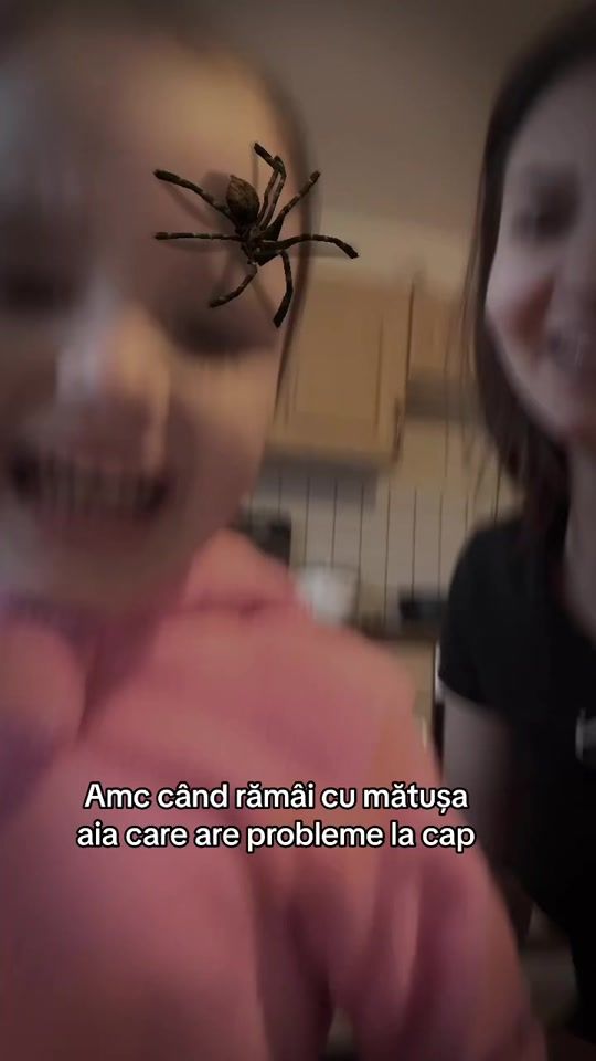 TikTok video thumbnail by paula._.diana