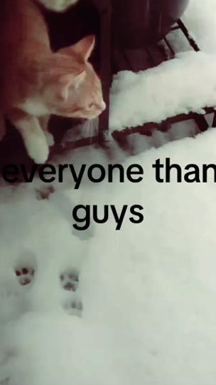 TikTok video thumbnail by .camiel