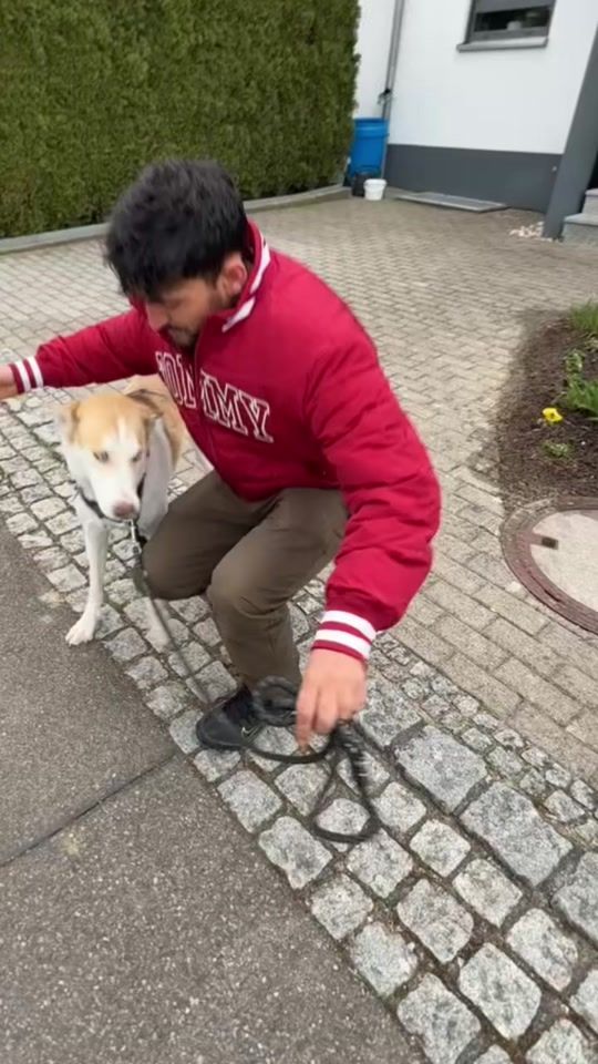 TikTok video thumbnail by waziristani.2