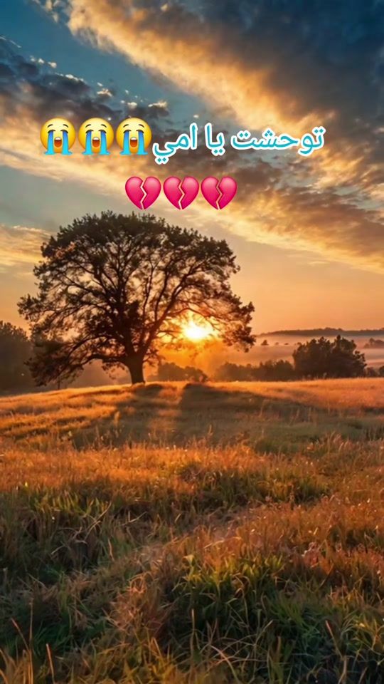 TikTok video thumbnail by souadahmed558