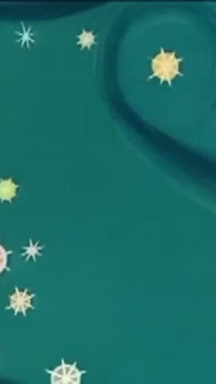 TikTok video thumbnail by dewu1981