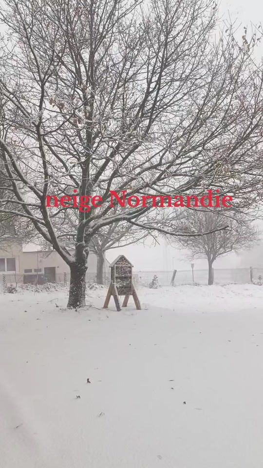 TikTok video thumbnail by lacapricieusedu14