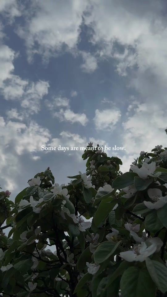 TikTok video thumbnail by nina_ro_31