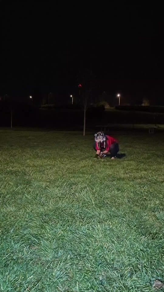 TikTok video thumbnail by wolf.spectrum
