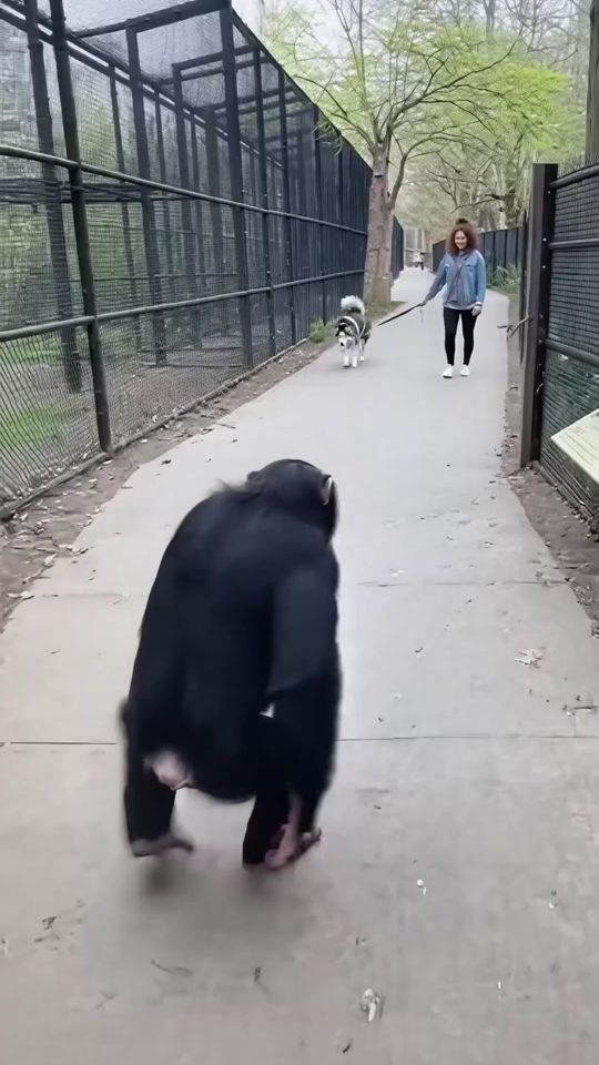 TikTok video thumbnail by ollis111