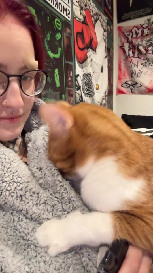 TikTok video thumbnail by beliindaa38er