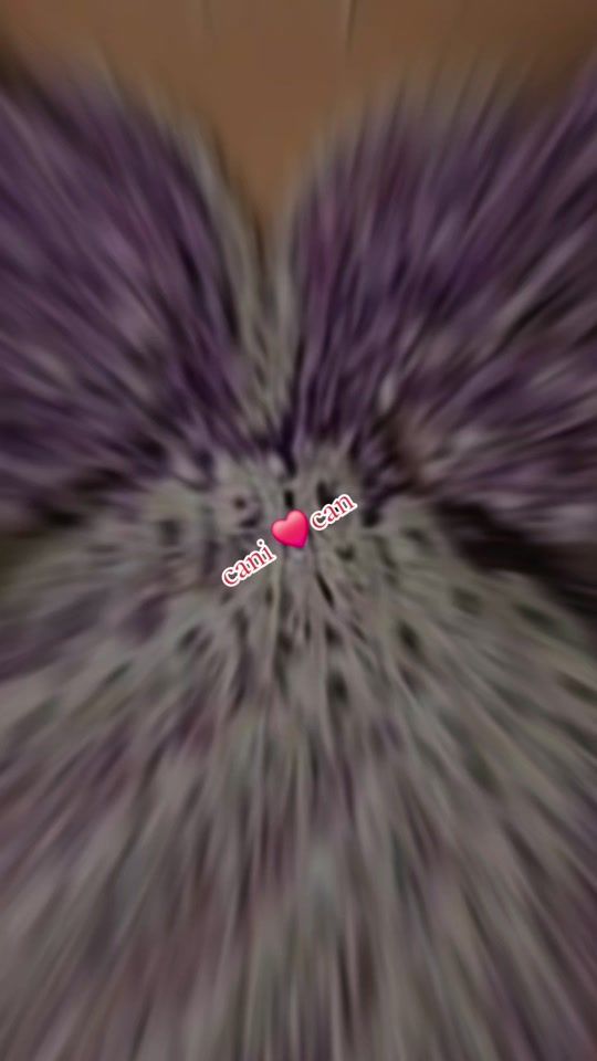 TikTok video thumbnail by canicanmoda2023