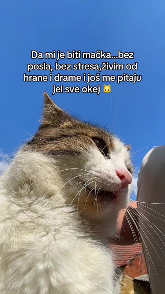 TikTok video thumbnail by markokomljenovic