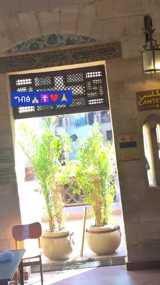 TikTok video thumbnail by tigst273