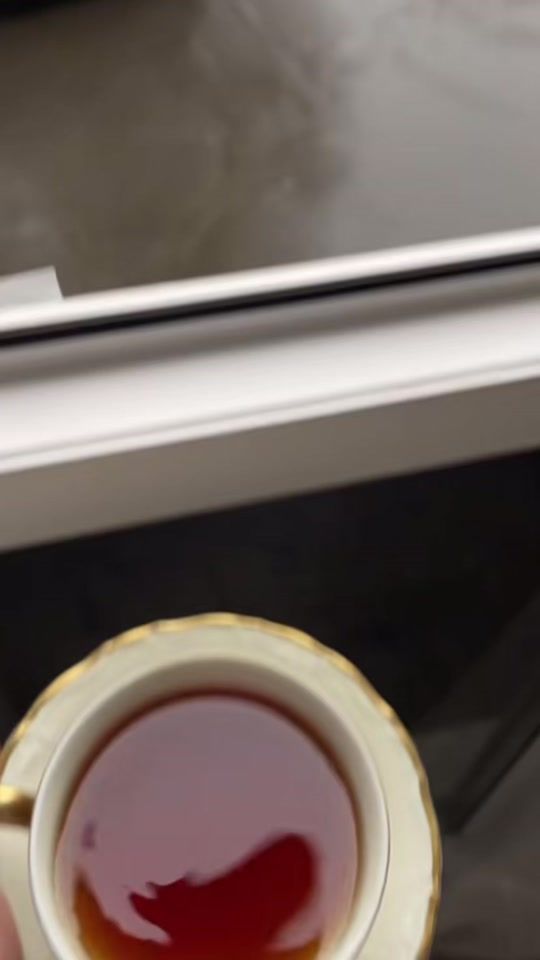 TikTok video thumbnail by afghane98