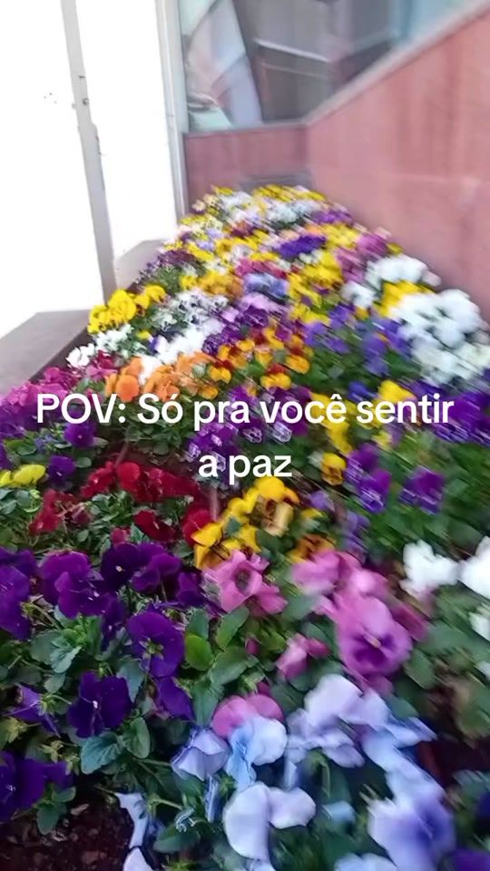 TikTok video thumbnail by fernanda.mendes329
