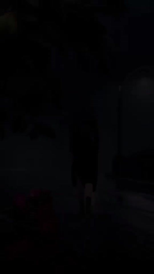 TikTok video thumbnail by wadileyluiz