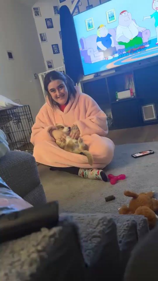 TikTok video thumbnail by wilson_the_corgi