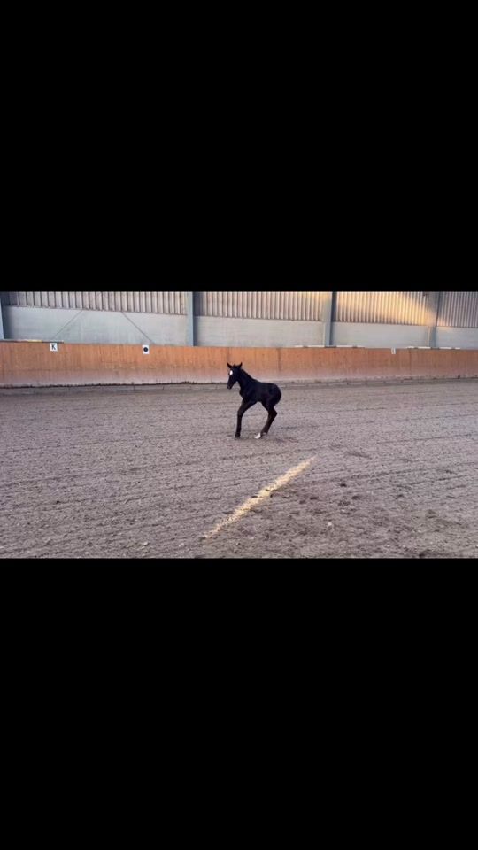 TikTok video thumbnail by bestoftasi