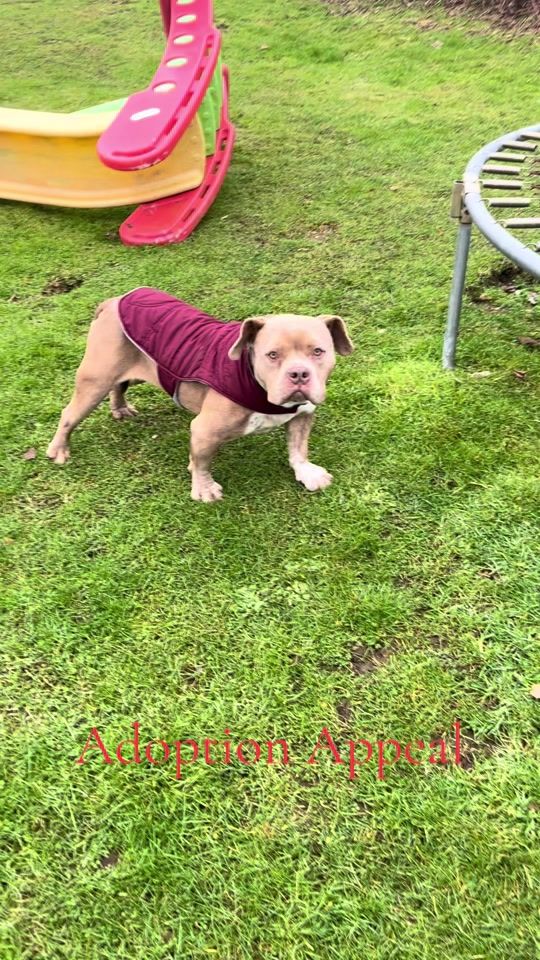 TikTok video thumbnail by nomilou16