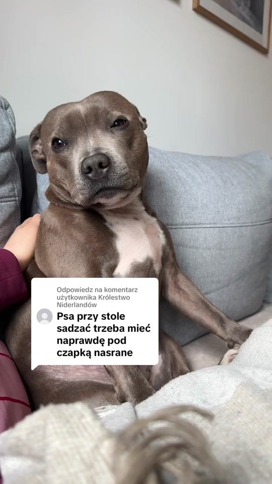 TikTok video thumbnail by kebabstaffik