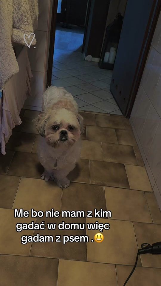 TikTok video thumbnail by zonkakamil.a