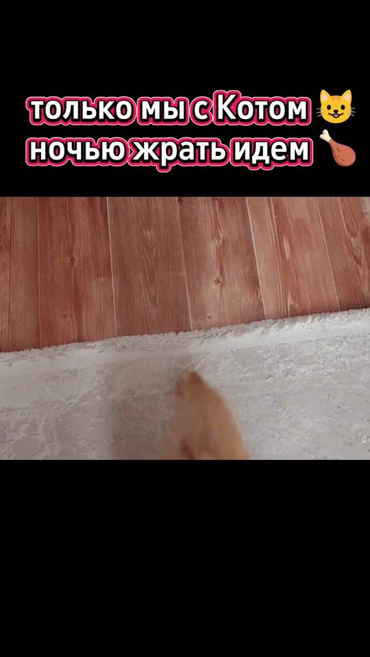 TikTok video thumbnail by tamara22_09