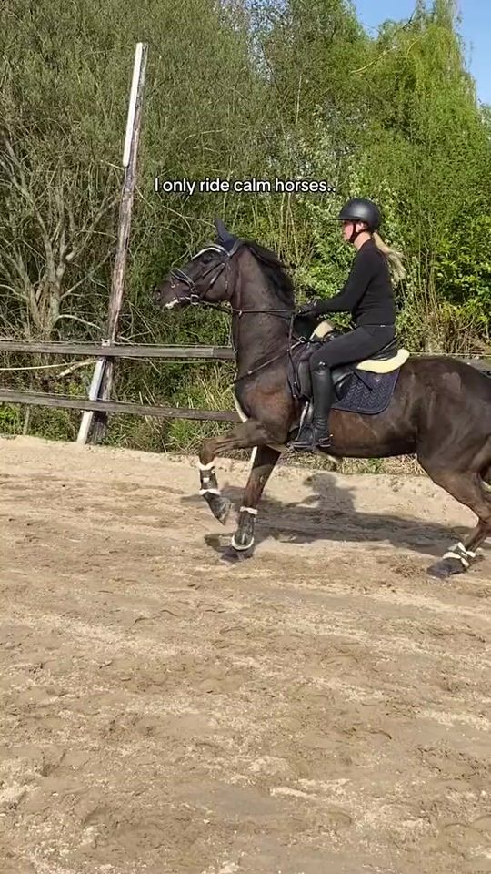 TikTok video thumbnail by loutsieex