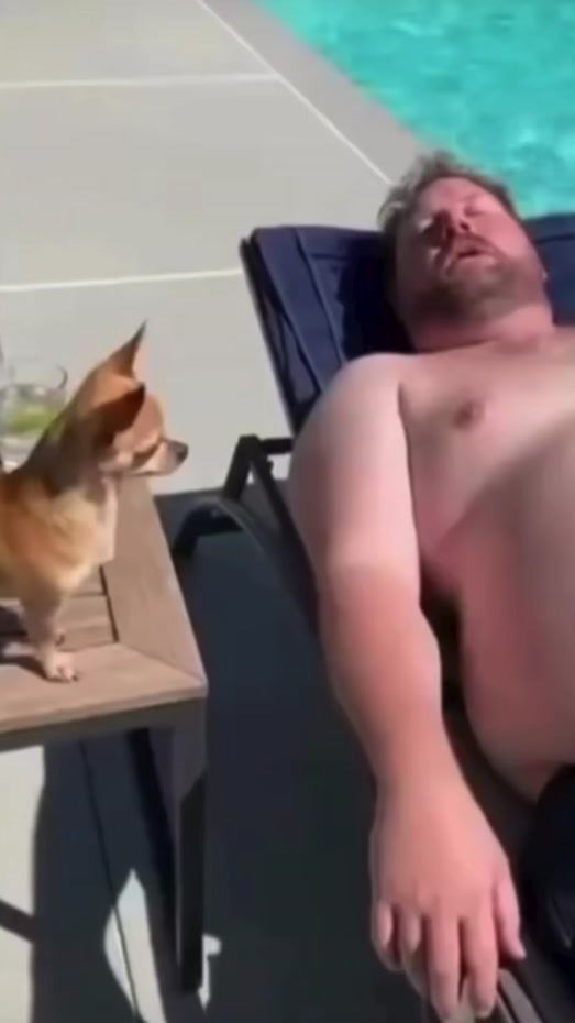 TikTok video thumbnail by crazyunfriend