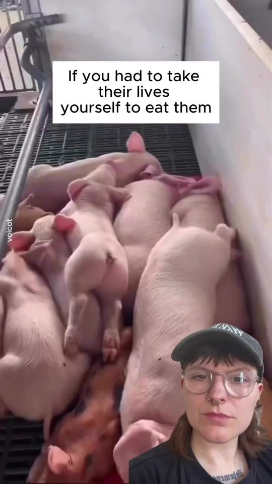 TikTok video thumbnail by vegan.f.t.a