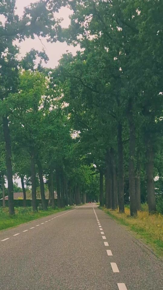 TikTok video thumbnail by ffatima037