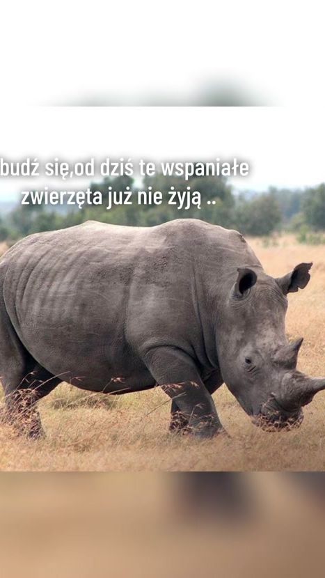 TikTok video thumbnail by brunetka_kc1