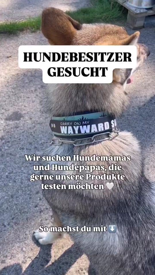 TikTok video thumbnail by wolfhundfreya