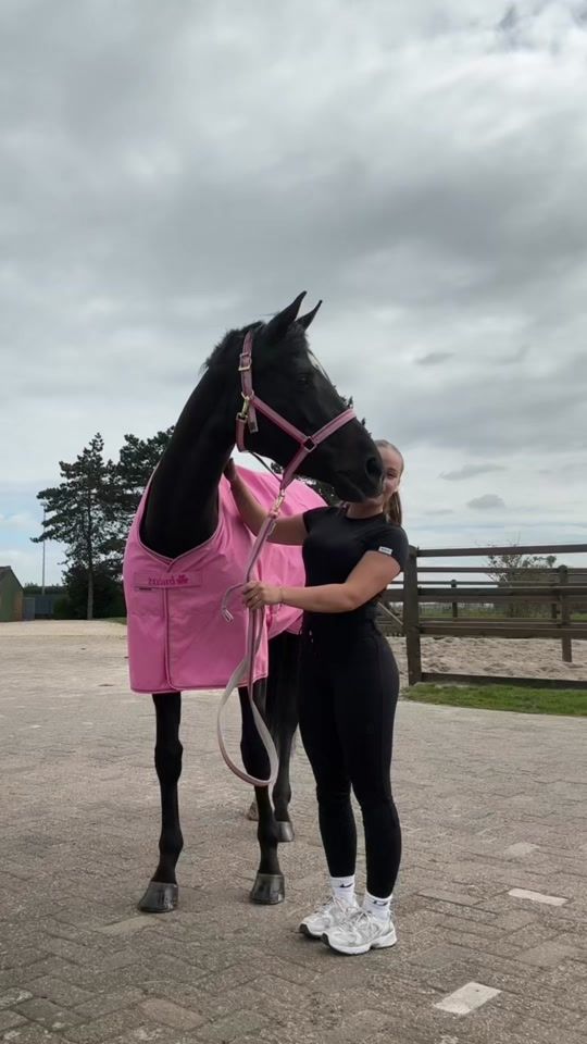 TikTok video thumbnail by bucasnederland