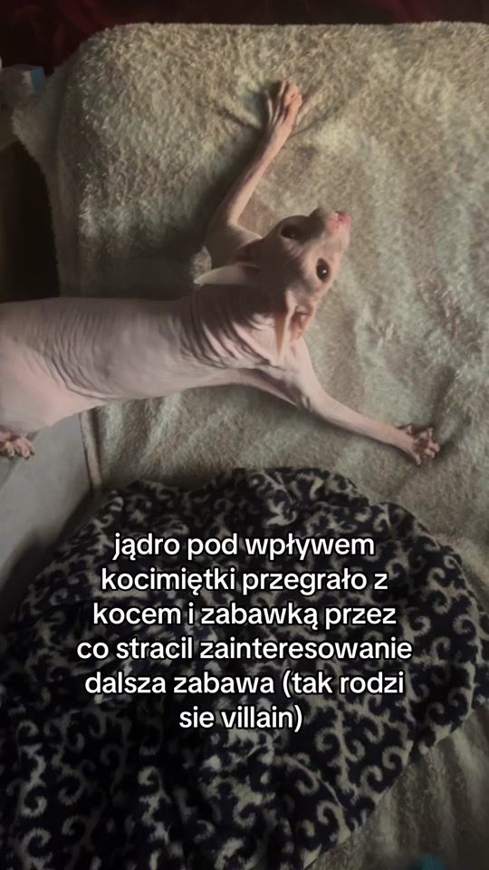 TikTok video thumbnail by get.lvst