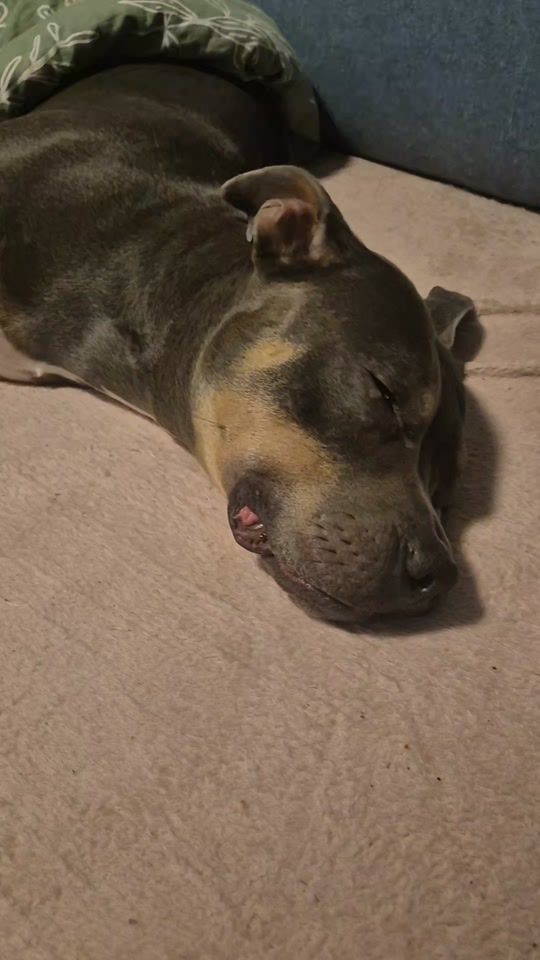 TikTok video thumbnail by sabjuh89