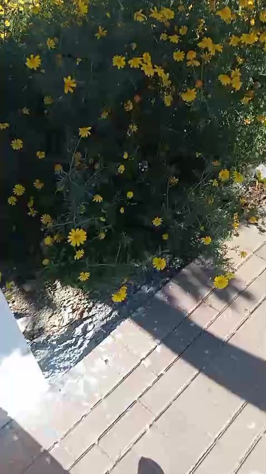 TikTok video thumbnail by fatimafati706