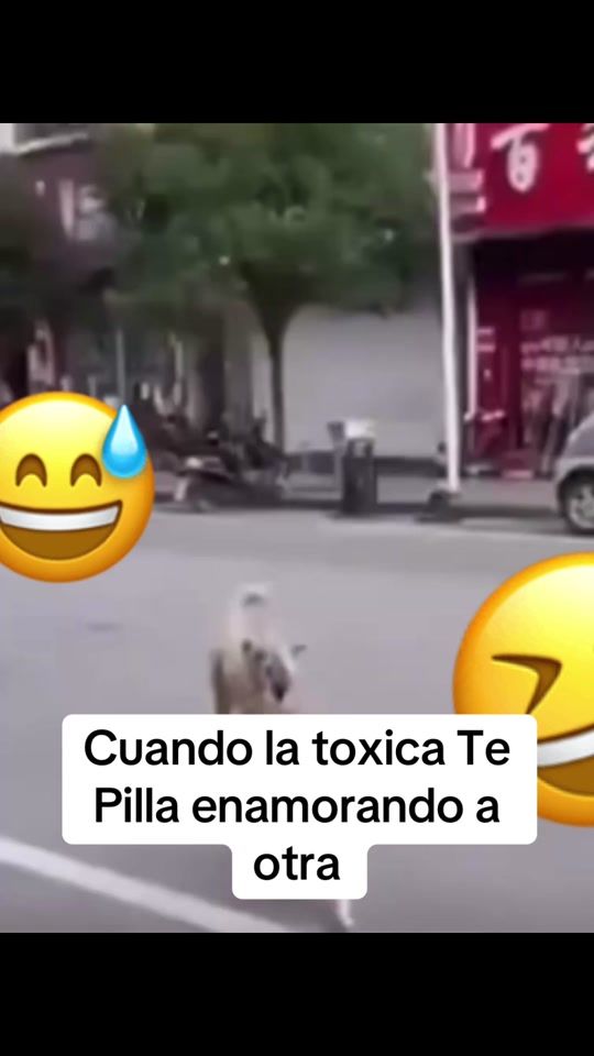 TikTok video thumbnail by tucaramelitot