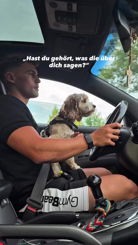TikTok video thumbnail by mauricehauser