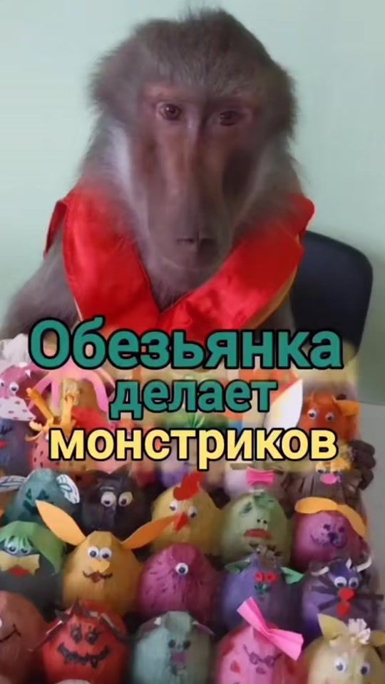 TikTok video thumbnail by mankiblog