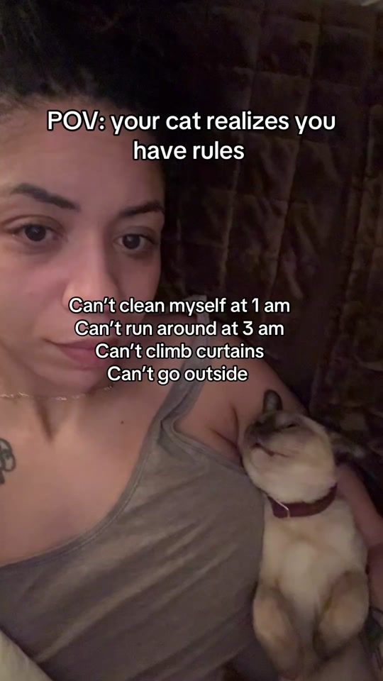 TikTok video thumbnail by brownnboris